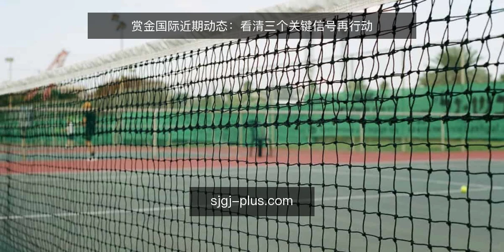 赏金国际近期动态:看清三个关键信号再行动 — 当前窗口:先辨别真伪信号 配图