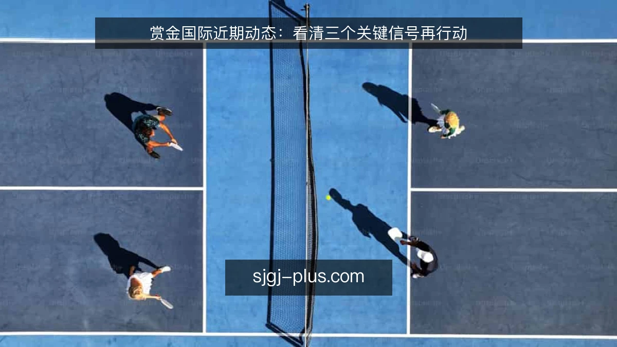 赏金国际近期动态:看清三个关键信号再行动