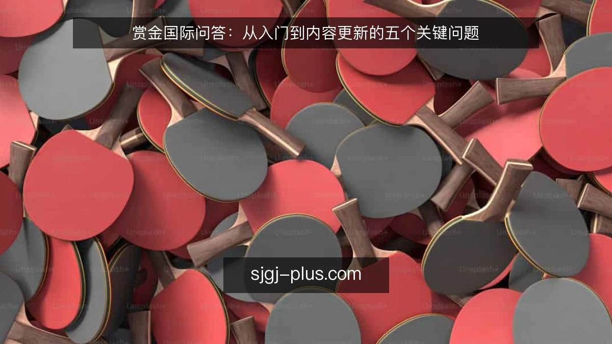 赏金国际问答：从入门到内容更新的五个关键问题
