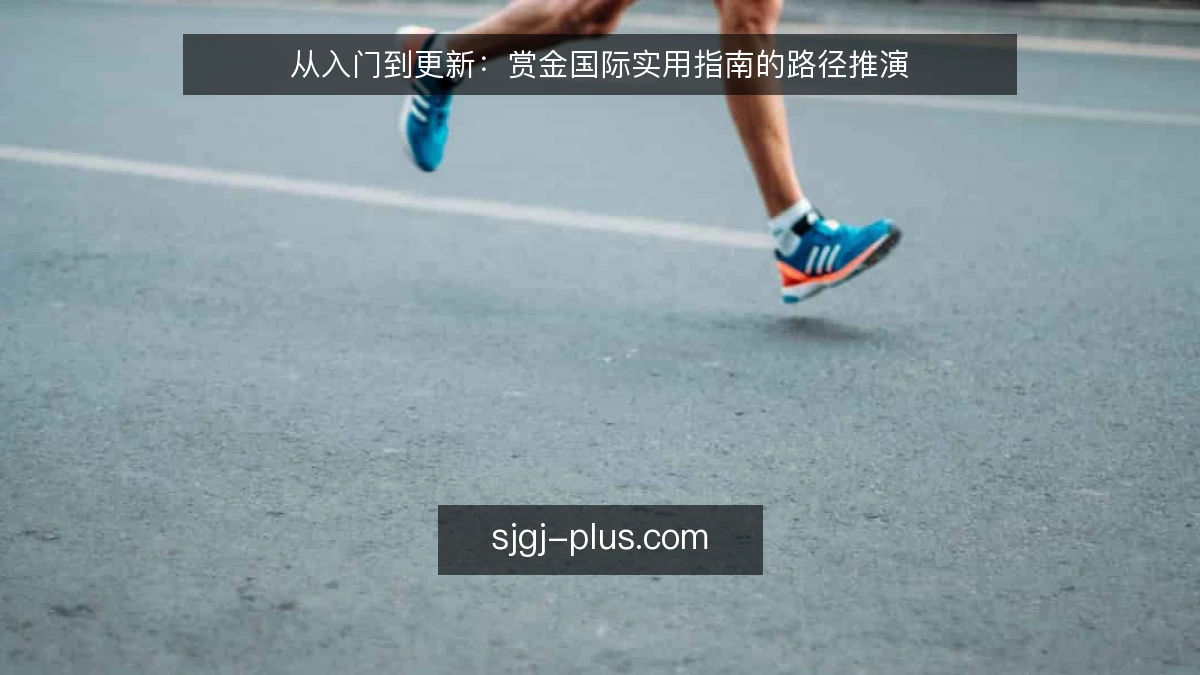 从入门到更新：赏金国际实用指南的路径推演