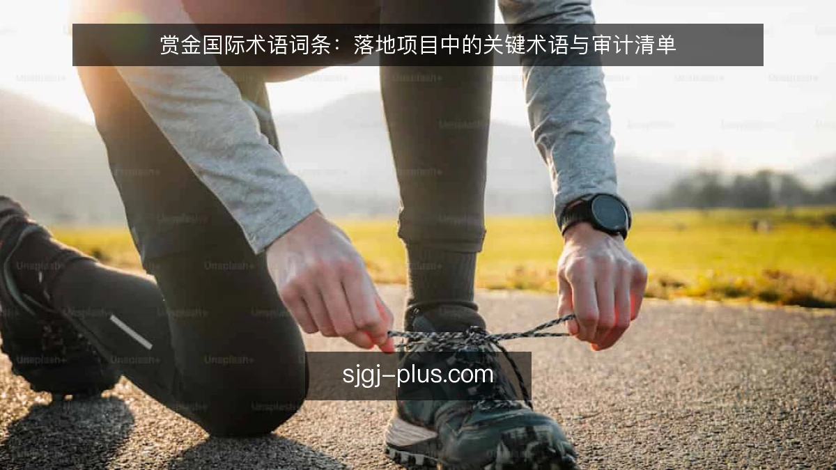 赏金国际术语词条:落地项目中的关键术语与审计清单