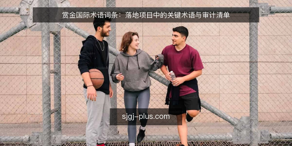 赏金国际术语词条:落地项目中的关键术语与审计清单 — 为什么现在审计术语使用 配图