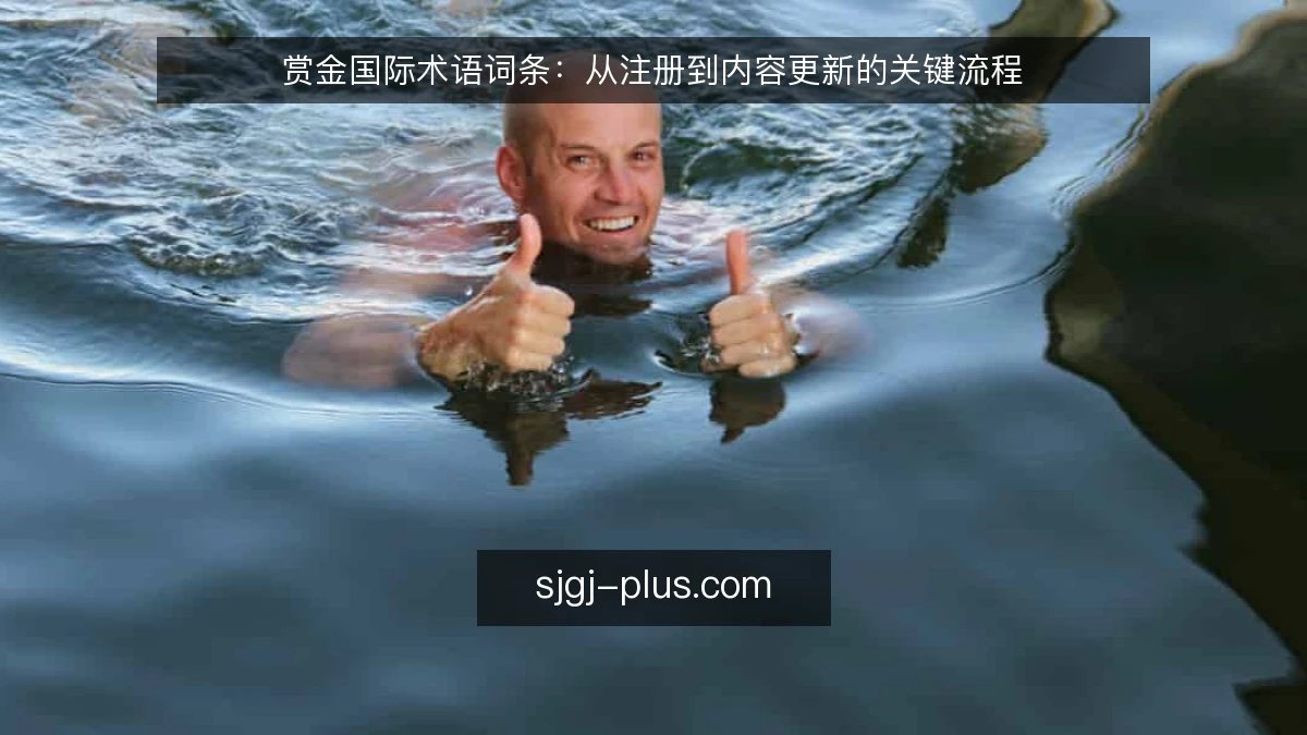 赏金国际术语词条：从注册到内容更新的关键流程