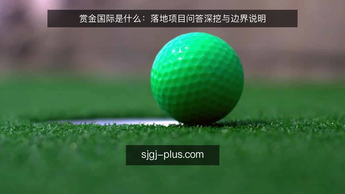 赏金国际是什么：落地项目问答深挖与边界说明