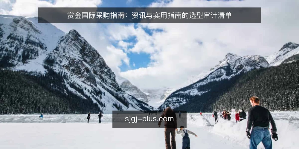赏金国际采购指南：资讯与实用指南的选型审计清单 — 为什么现在要做一次选型审计 配图