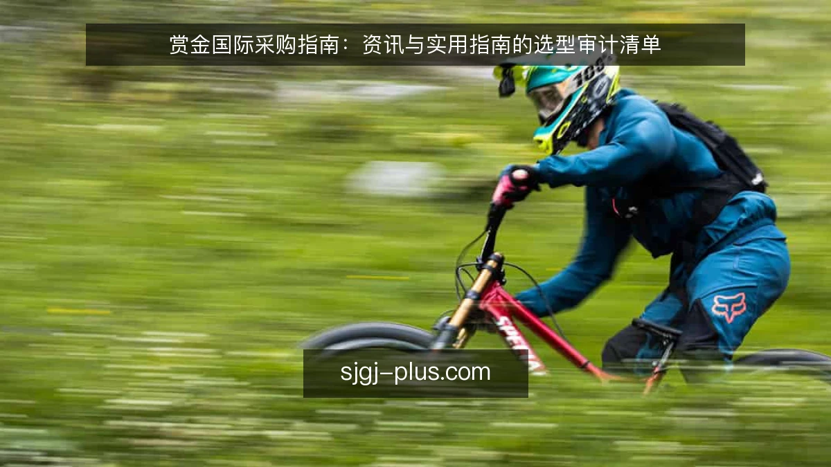 赏金国际采购指南：资讯与实用指南的选型审计清单