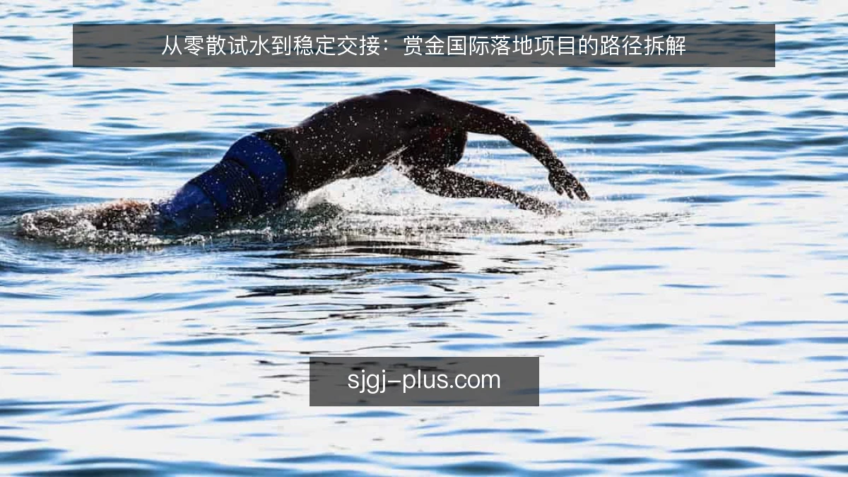 从零散试水到稳定交接：赏金国际落地项目的路径拆解
