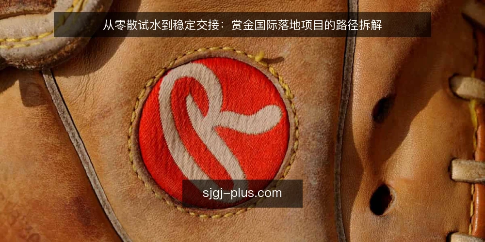 从零散试水到稳定交接：赏金国际落地项目的路径拆解 — 起点：零散试水为什么难以沉淀 配图