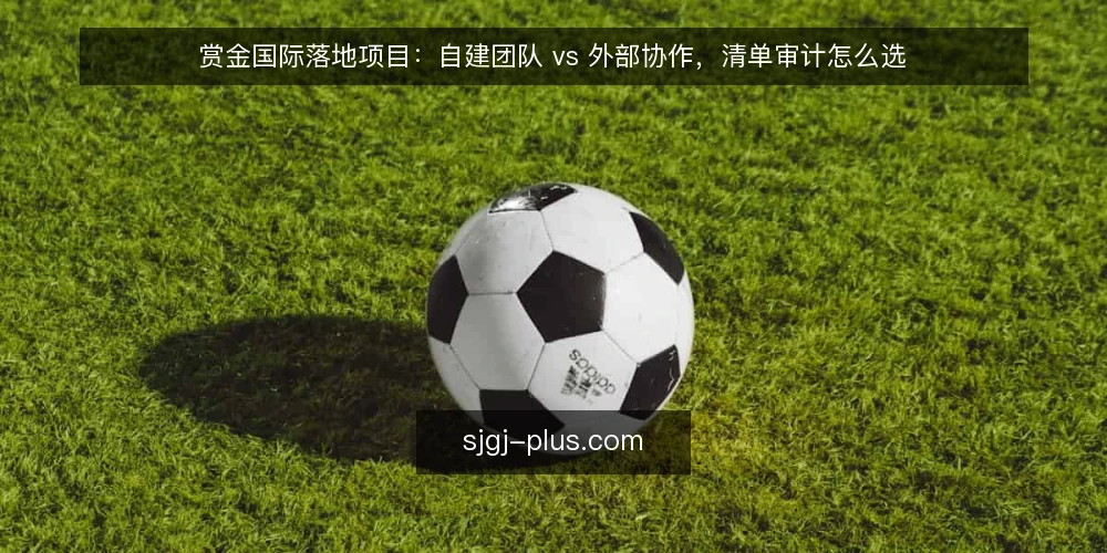 赏金国际落地项目：自建团队 vs 外部协作，清单审计怎么选 — 为什么现在要做这次审计 配图