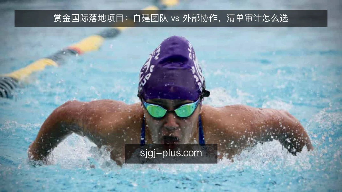 赏金国际落地项目：自建团队 vs 外部协作，清单审计怎么选